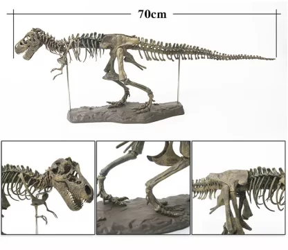 Large DIY Dinosaur Skeleton Toys Ornament Simulation T-Rex Model Jurassi Assembled Skeleton Park Fossilized Dragon for Kids Boys - Image 4