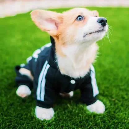 Pet Clothes French Bulldog Puppy Dog Pet Jumpsuit Chihuahua Pug Pets Dogs Clothing for Small Medium Dogs Puppy Outfit - Image 2