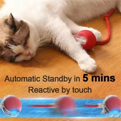 Rechargeable Smart Pet Interactive Automatic Rolling Ball Toy Cats Pet Products New Electric Dog Ball Toy Simulated Tail For Cat - Image 4