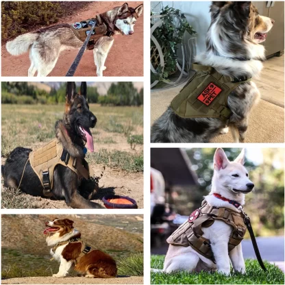 Military Large Dog Harness Pet German Shepherd K9 Malinois Training Vest Tactical Dog Harness And Leash Set For Dogs Accessories - Image 5